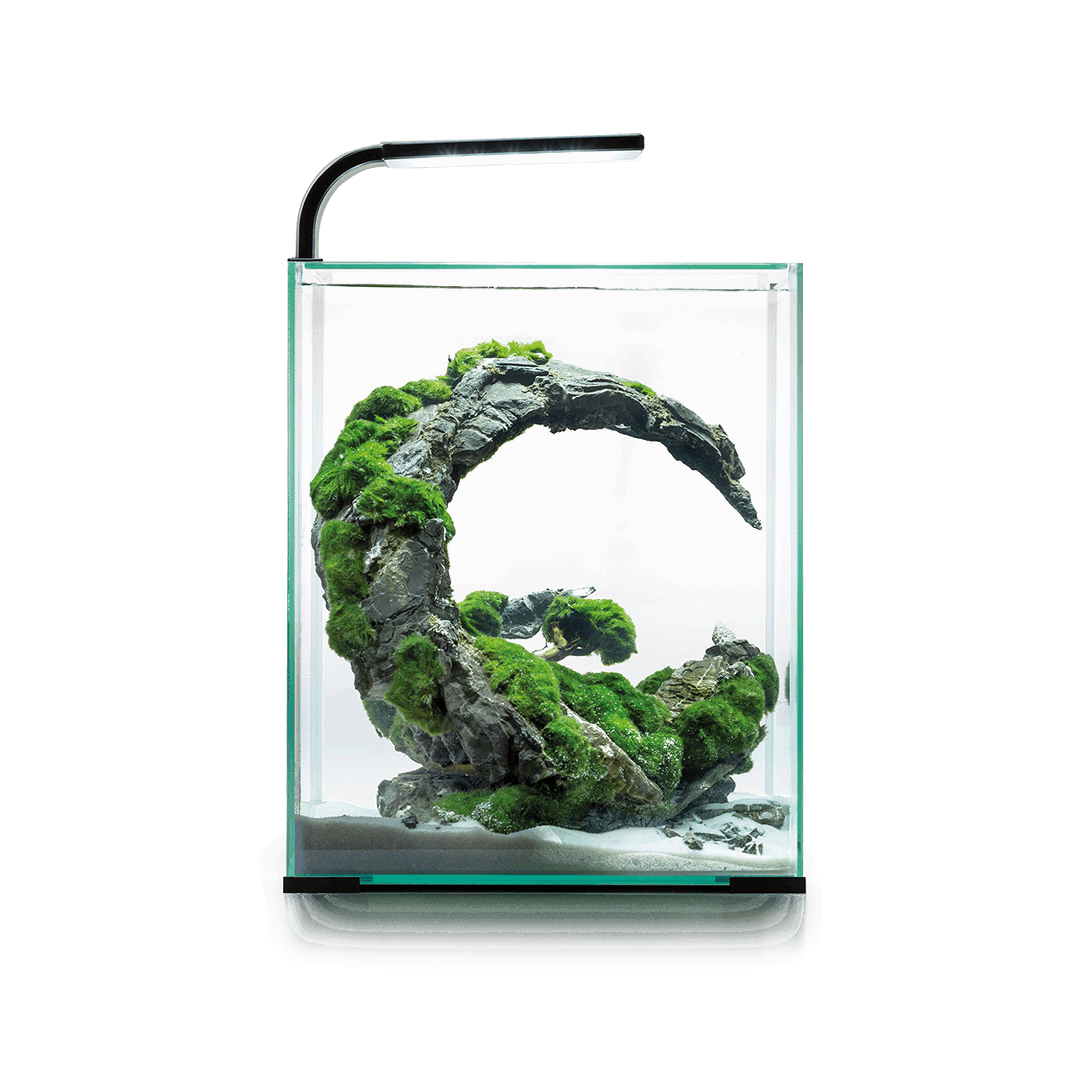 Aquarium Nano Aquariums AQUAEL AQUARIUM SHRIMPSET SMART Day